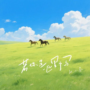 瑟涩布集百万部潮流电影
