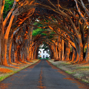 瑟涩布集百万部潮流电影
