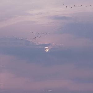 瑟涩布集百万部潮流电影
